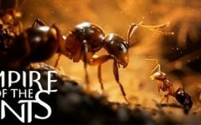 蚂蚁帝国/Empire of the Ants